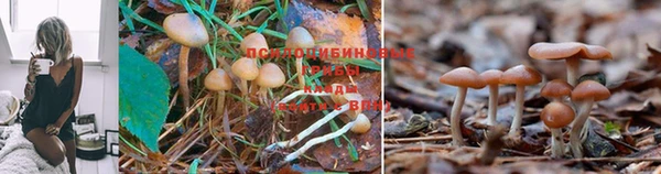 а пвп мука Володарск