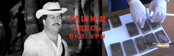 прущие грибы Волоколамск