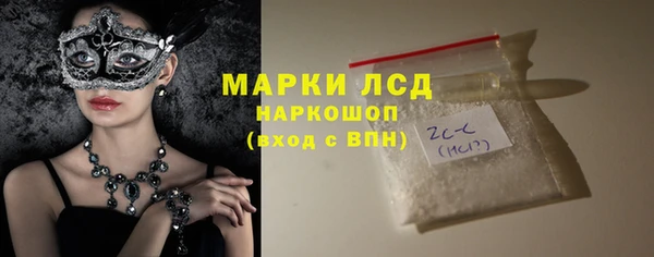 прущие грибы Волоколамск