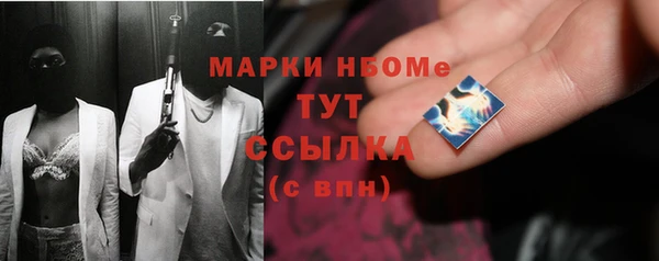 прущие грибы Волоколамск
