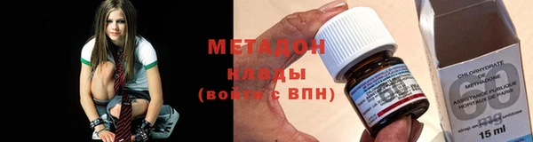 прущие грибы Волоколамск
