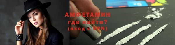 прущие грибы Волоколамск