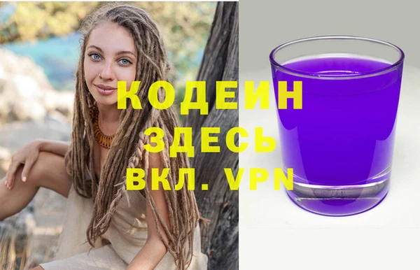 прущие грибы Волоколамск